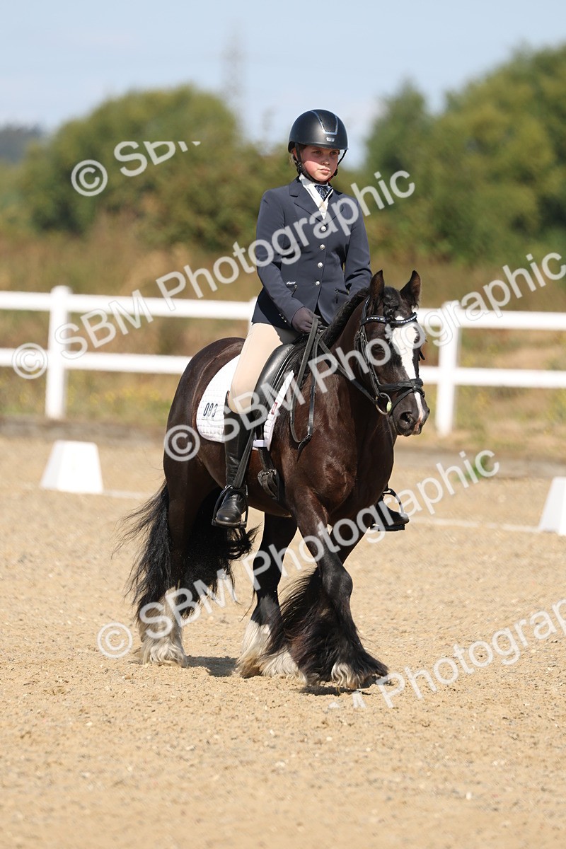 SBM_013522 - Class 1 - P5 Bronze 10.38.12.02