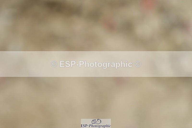 230701A-143123-07624 - Cls 16+18 FEI PSG + Inter I