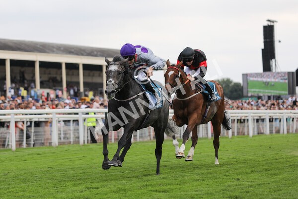yr23072022r6-25 - Race 6 5.00pm Sky Bet Partnership with Support Dogs Stakes