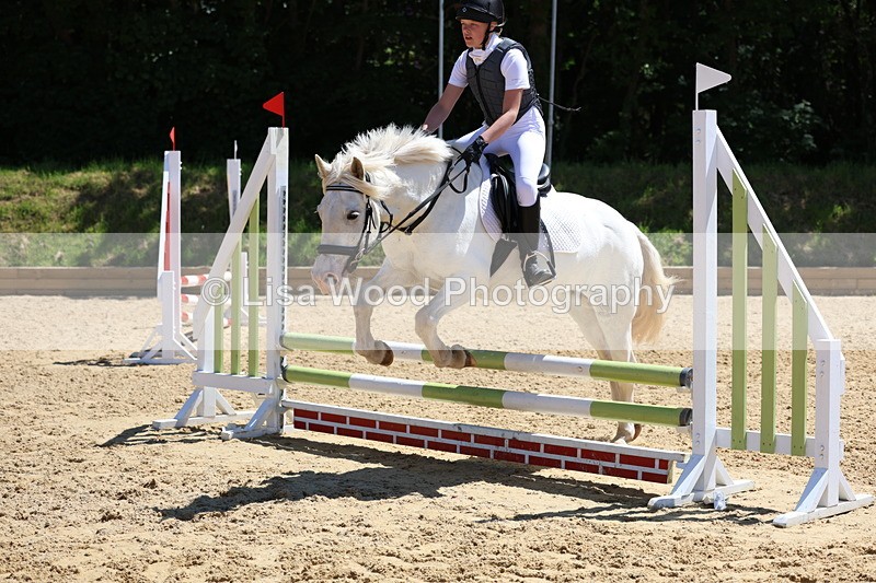 3E7A2544 - Class 4/5: 60cm Open Teams and Individuals