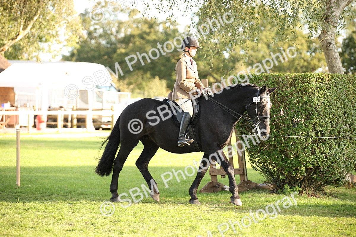 SBM_54386 - S27 - Mature Veteran - Ridden