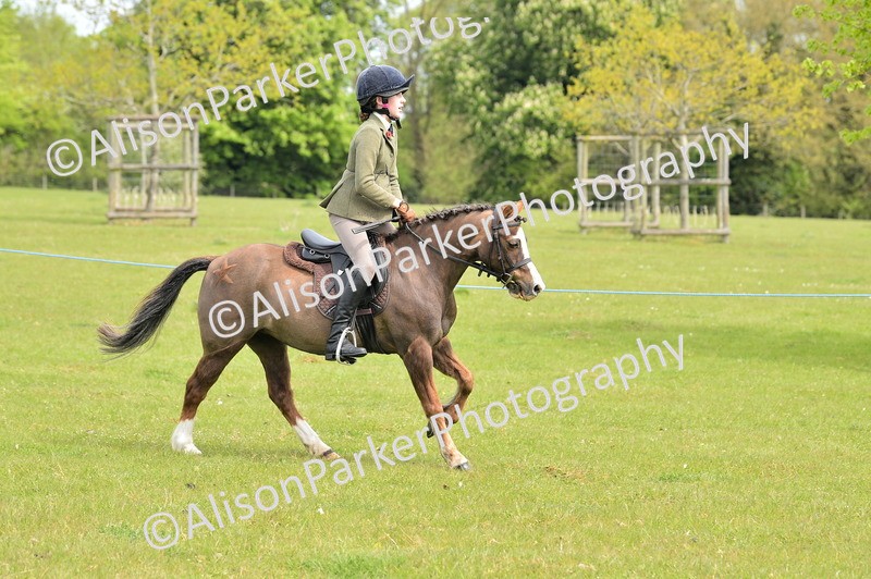 20260426-2396 - Class 21 - Working Hunter Ponies