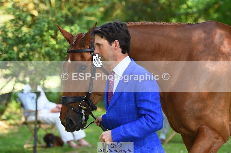 230524-163214-00933 - 181-AMIRO_ISLAND-Harry_Meade-WEDTrotUp+DR