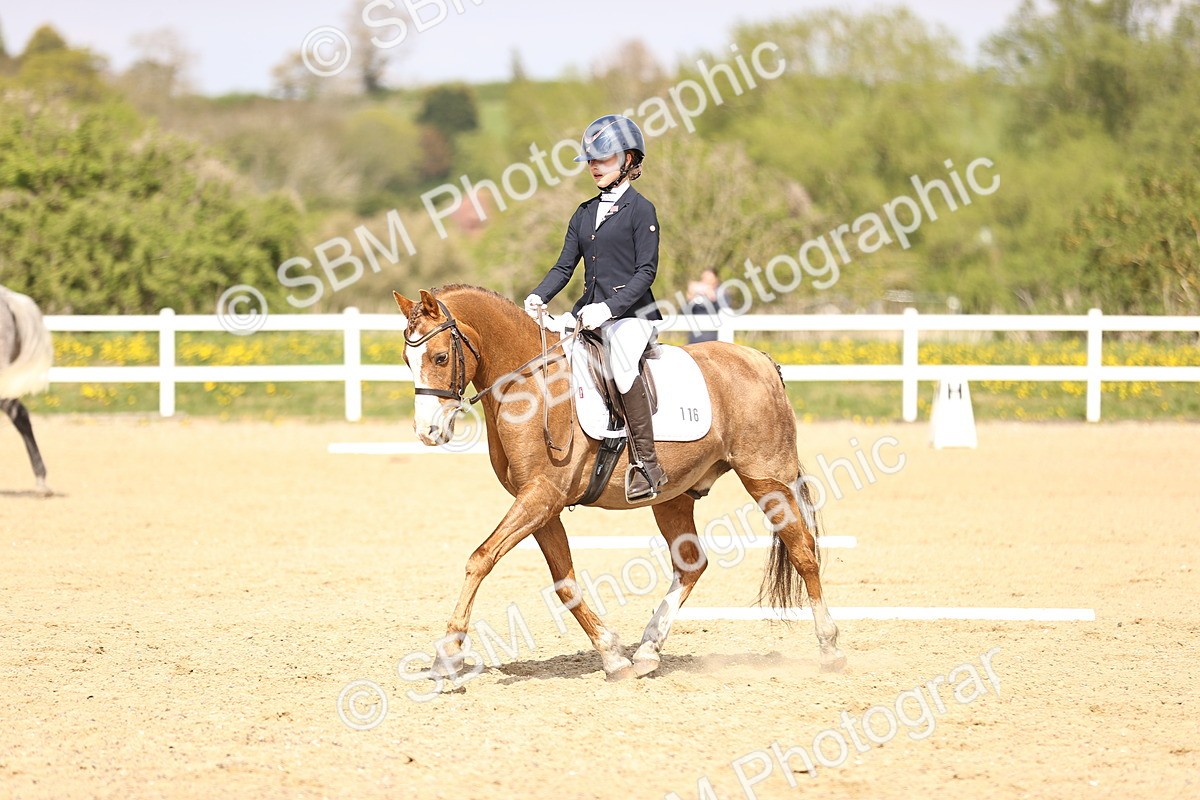 SBM_008446 - Class 8-10-11 - N3-E1-PYO