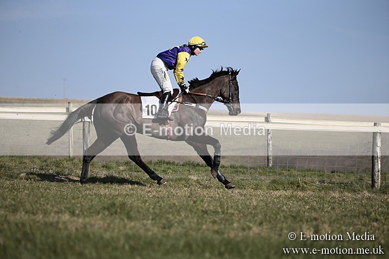 PtP 240218 216 - Vine & Craven Hunt Point-to-Point Barbury racecourse 24/02/18