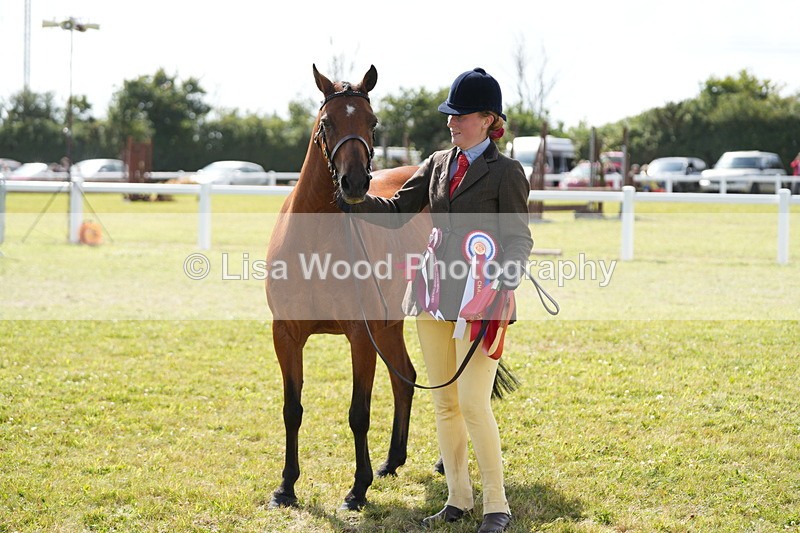 DSC07504 - Pony Breeding Championship