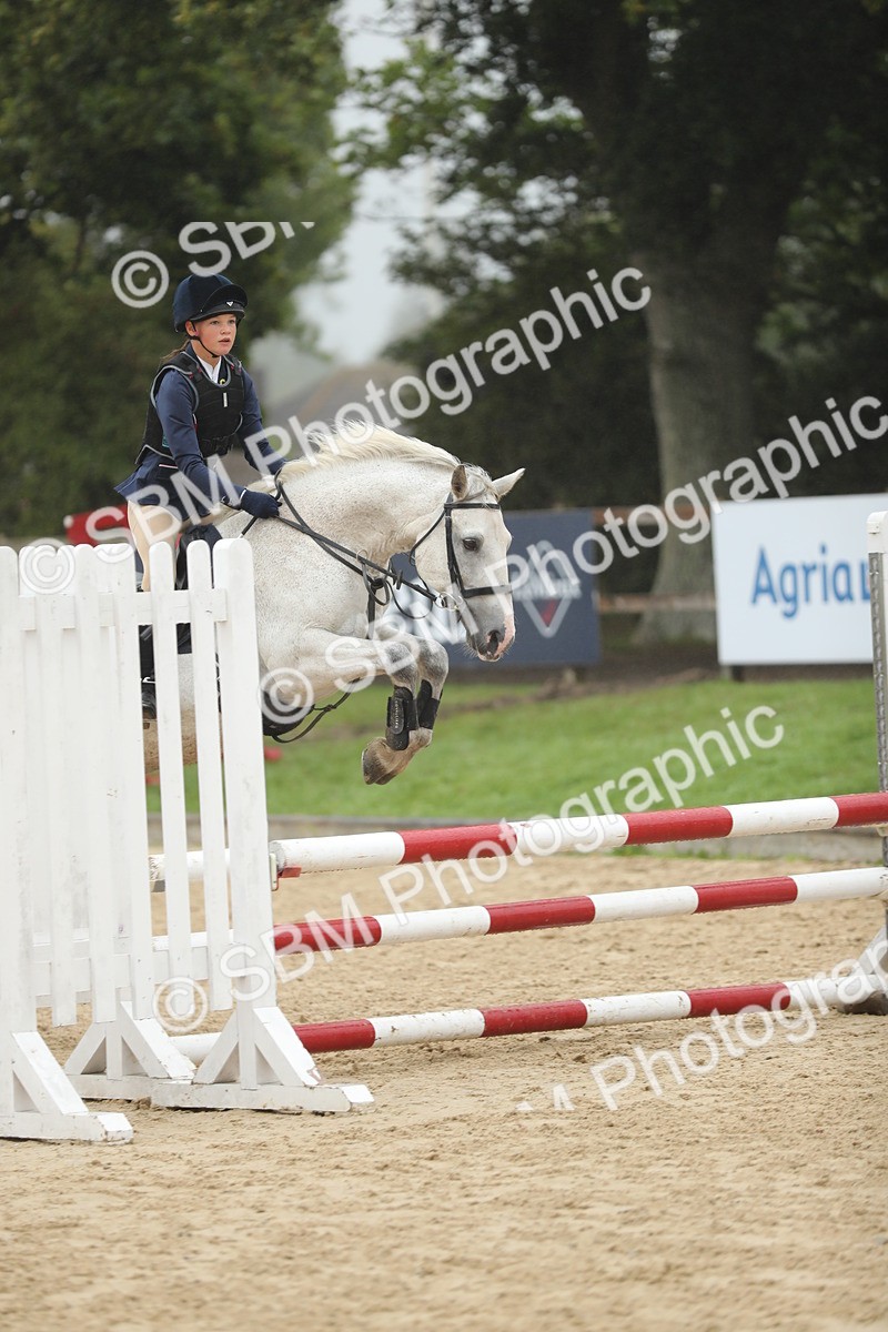 SBM_73951 - J16 - Junior Pony 75cm Championship