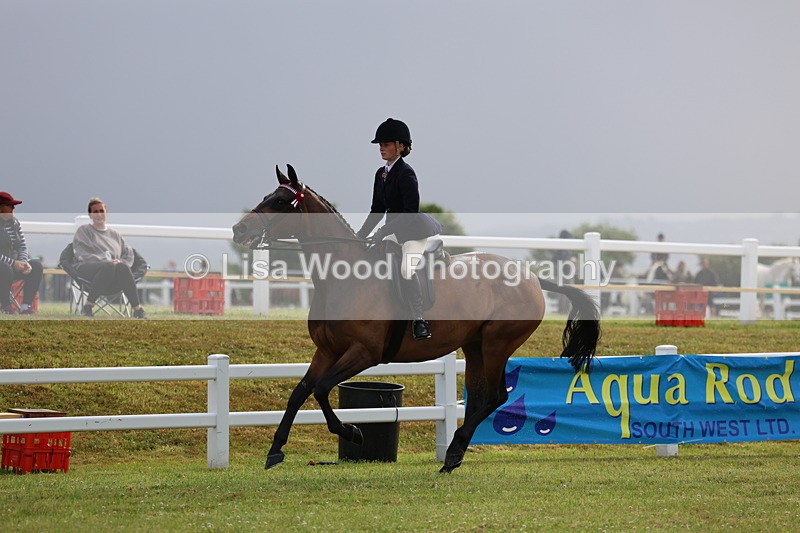 3E7A8084 - Class 2: Rising Star Large Hack/Riding Horse