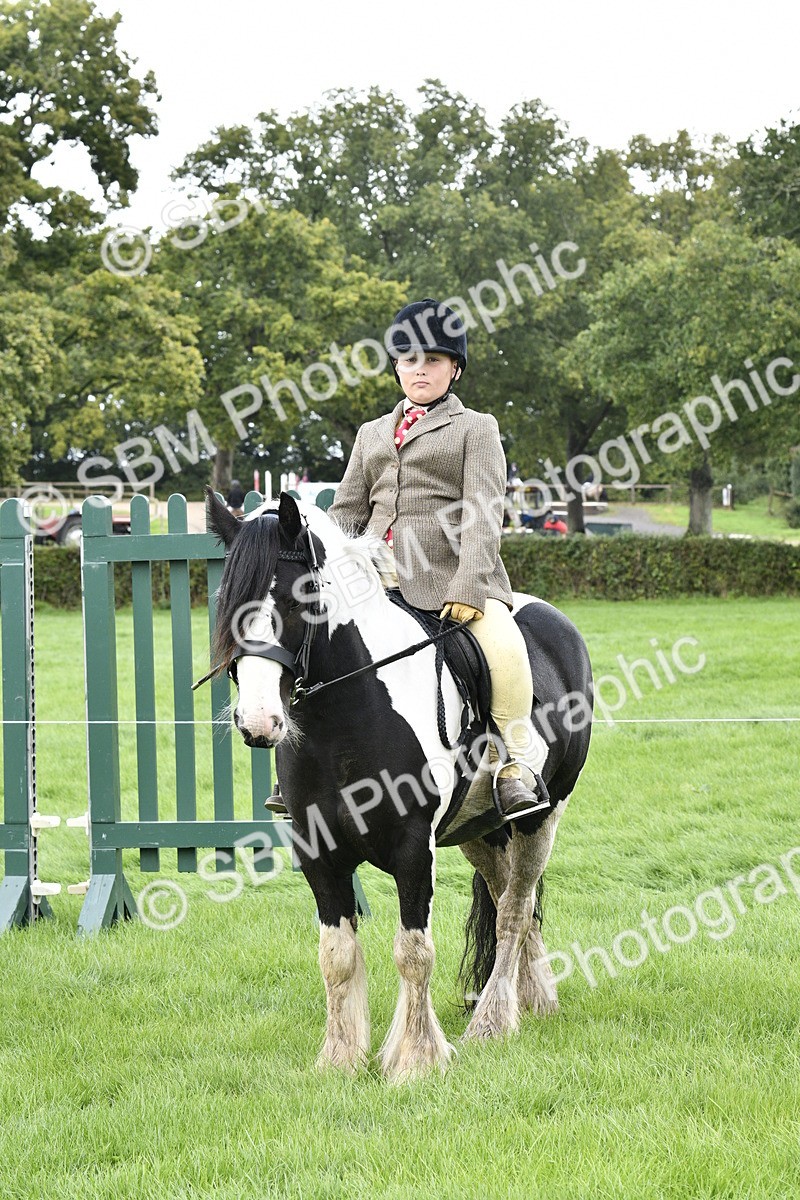 SBM_38266 - S31 - Novice & Newcomer Working Hunter Pony