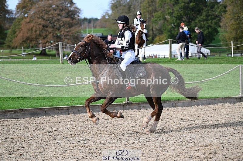 241117-115247-03755 - Cls 2 80-85cm 11.20 to 12.30