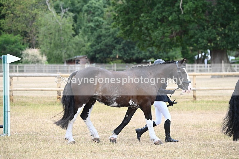 WJ6_7845 - Class 10 Coloured in Hand