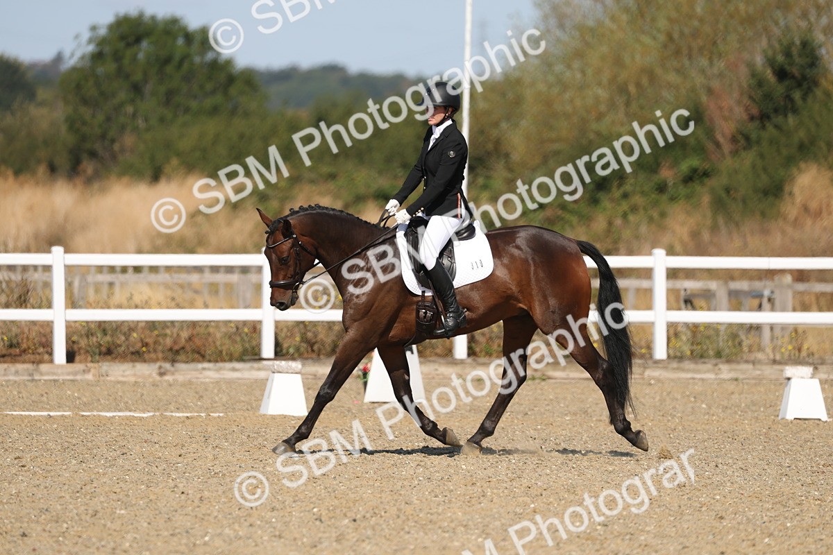 SBM_013452