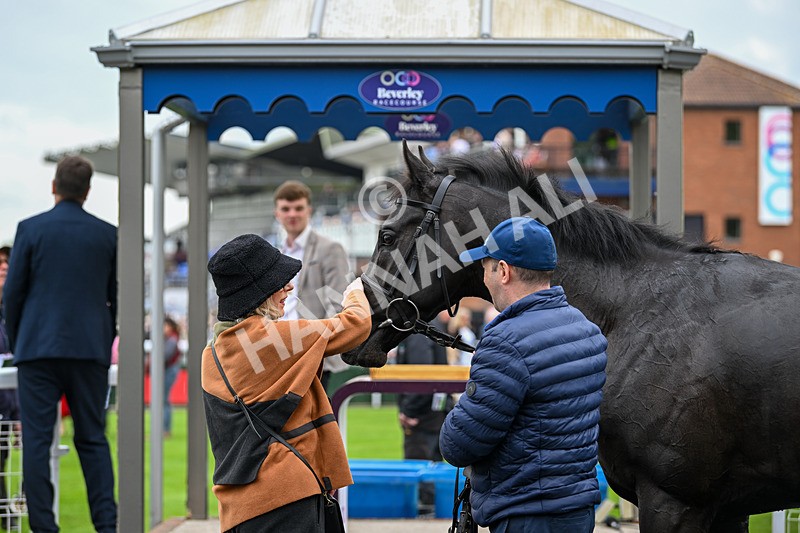 140524-Race 6-Flickering Halo-2832 - Race 6