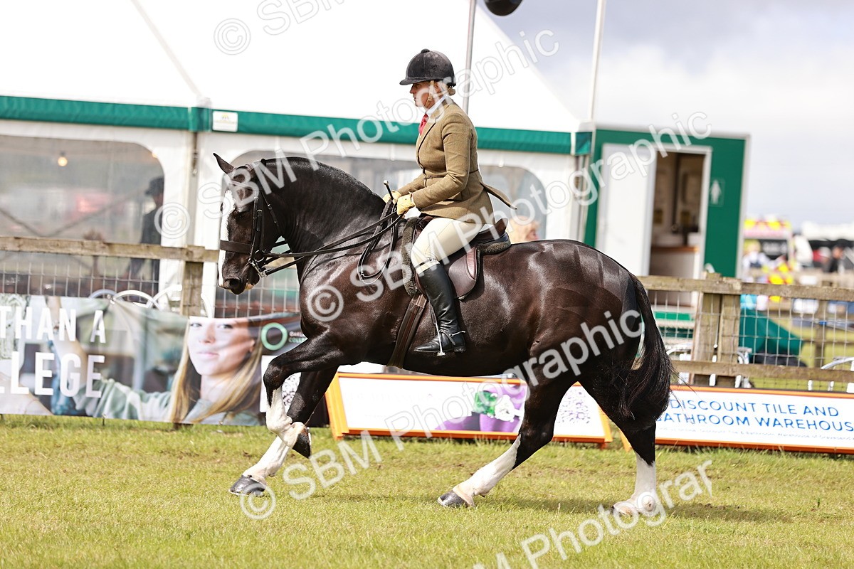 SBM_13103 - Class 85-87 - RIHS Cobs