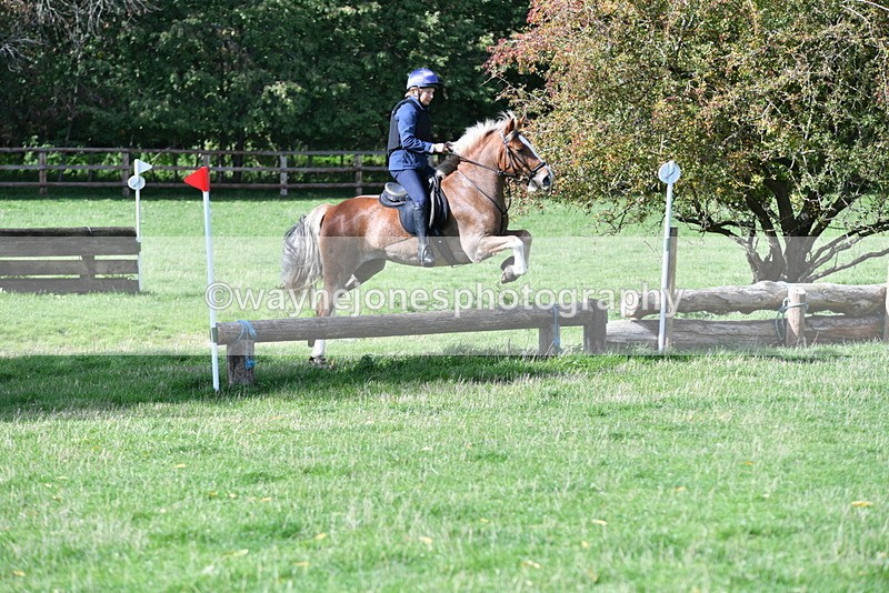 WJ5_8194 - Time 10:31 to 12:01