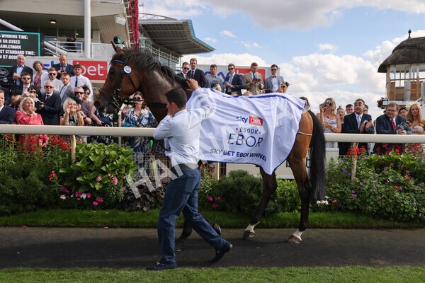 yr20082022r4-257 - Race 4 3.35pm Sky Bet Ebor