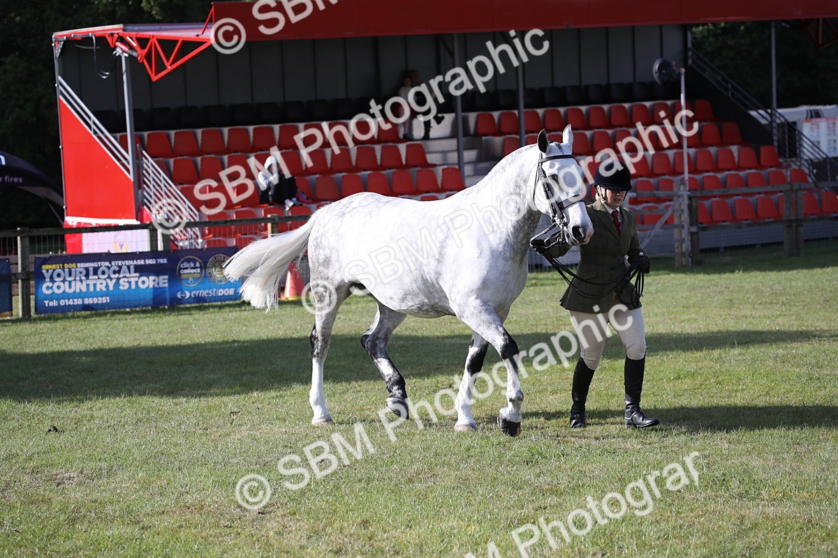 SBM_11127 - Class 92-93 - LIHS BSHA Rising Star Cobs