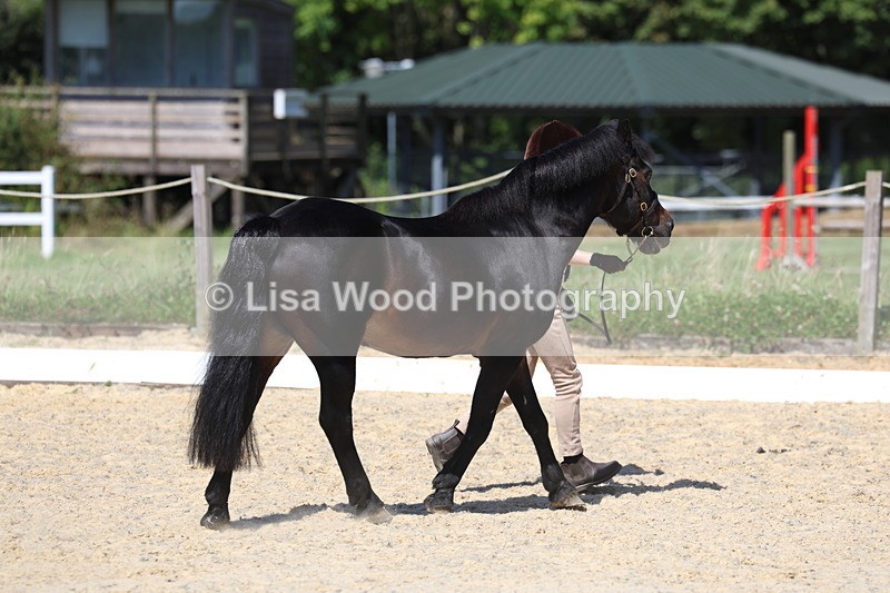 3E7A9402 - Class 29: Veteran In Hand