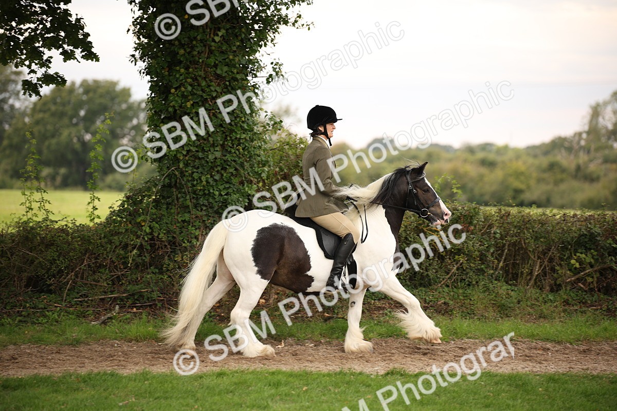 SBM_73455 - S68 - Traditional Cob Ridden