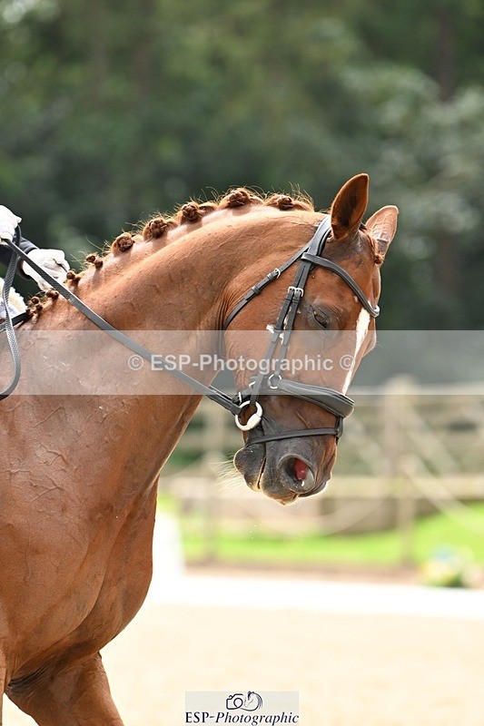 240811-133940-06122 - 127-Sarah.Stewart-DJoe.DiMaggio