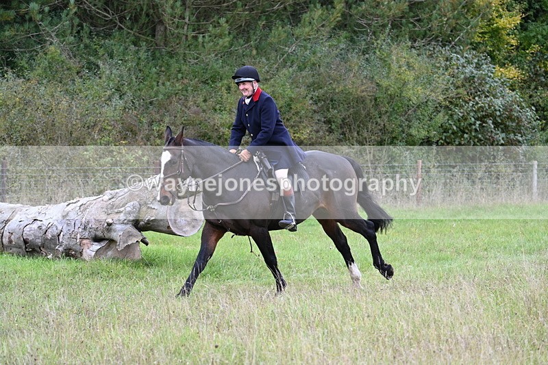 WJ7_3589 - Camera 1 Line 1