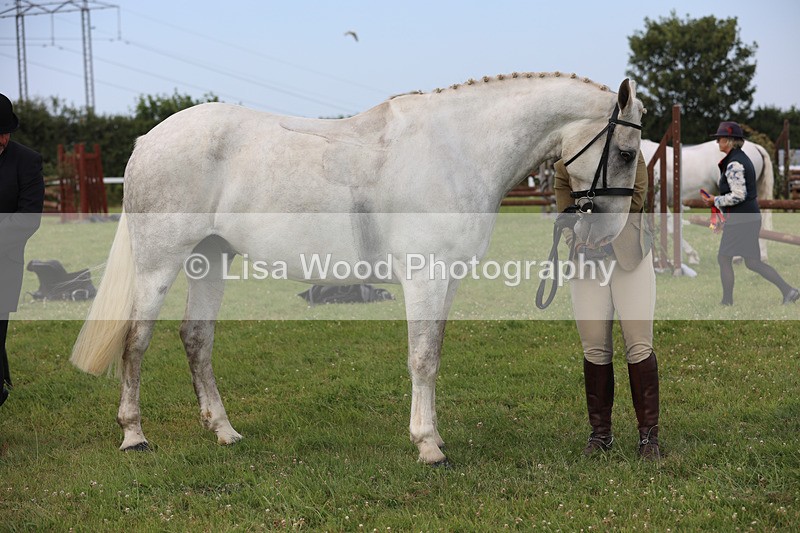 JPP_3929 - Class 23: Working Hunter 80cm
