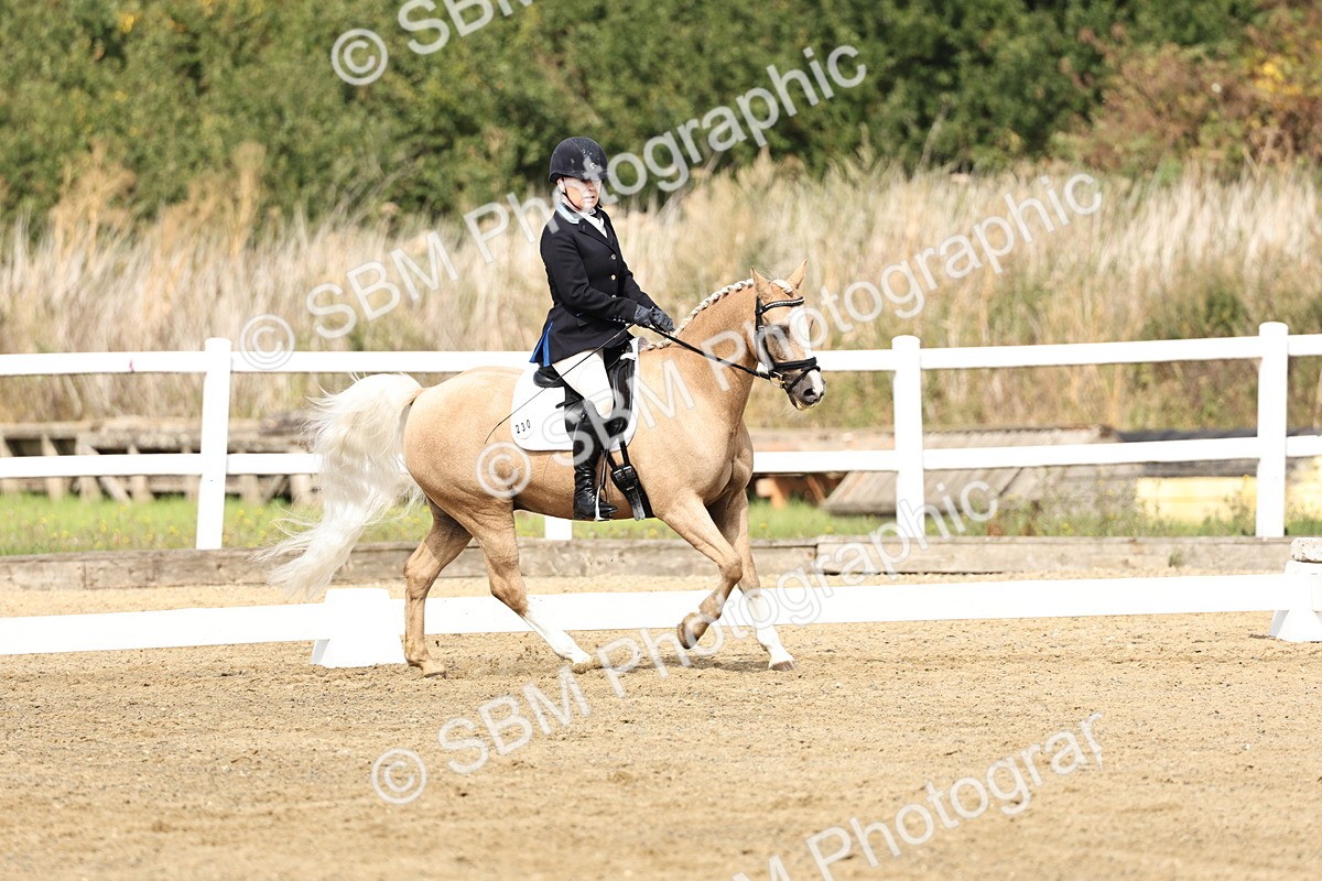 SBM_018202 - Class 16 - Novice 5 - 11.12-12.01