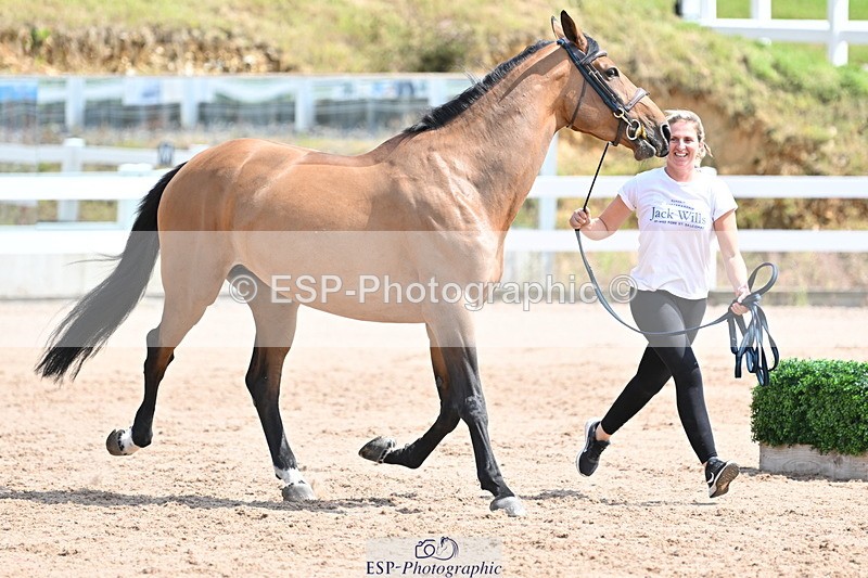 240717A-145033-02335 - Trot Up 2pm to 3pm - This folder is not in time order