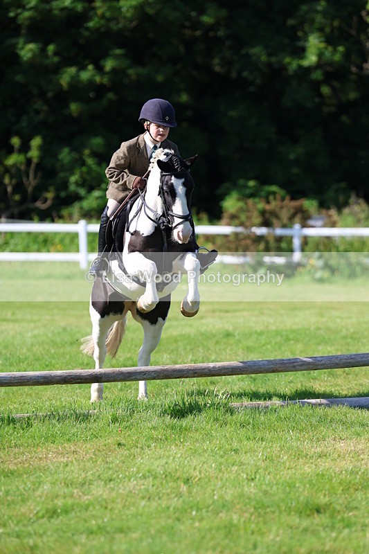 3E7A5884 - Class 27: Novice Working Hunter Pony
