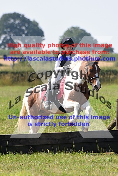 SNCP_0184 - N Group