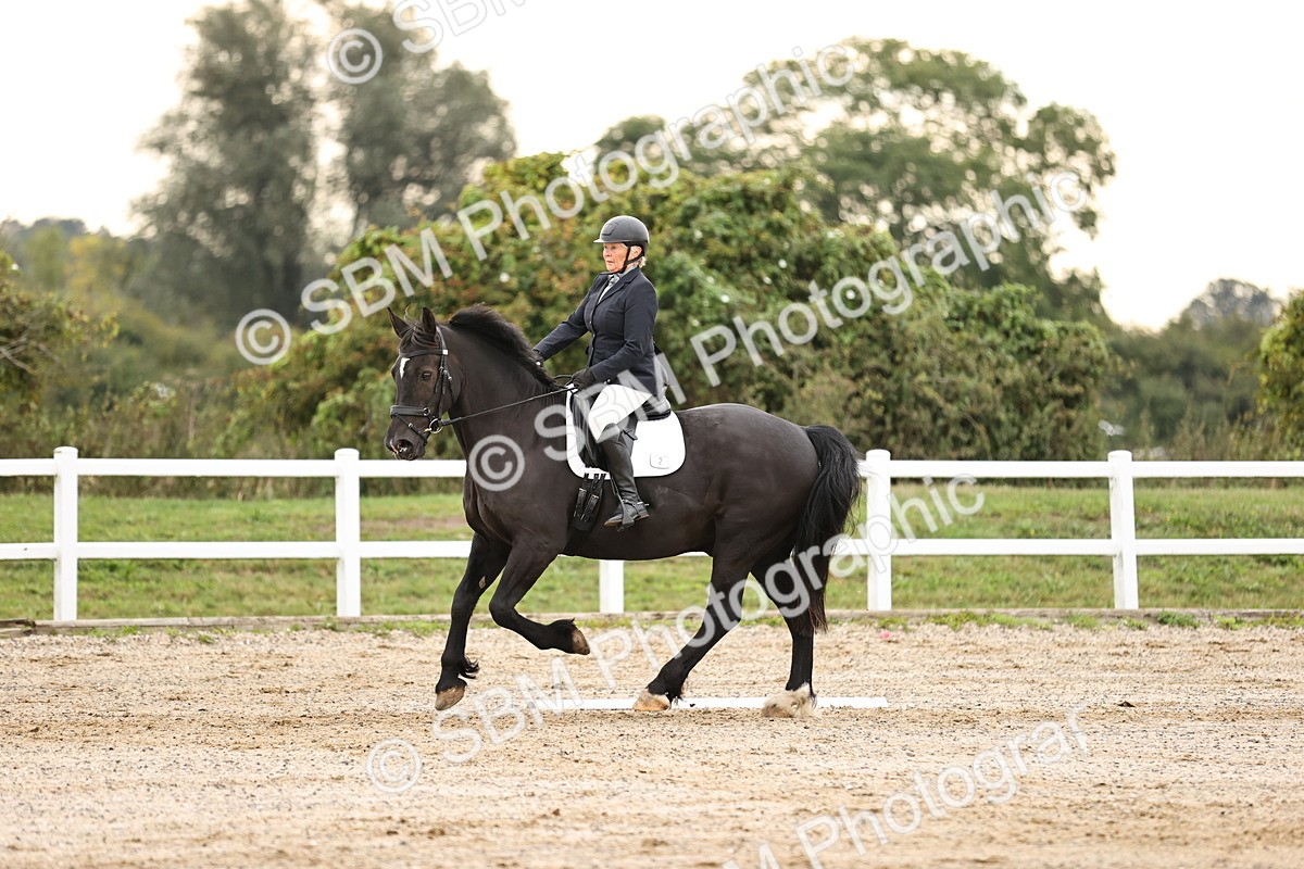 SBM_000431 - Prelim 3