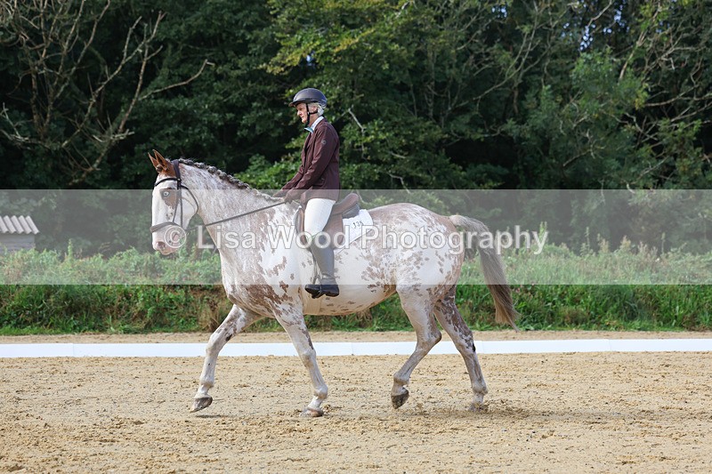 3E7A2369 - Class 1: Intro 4 2024 section A