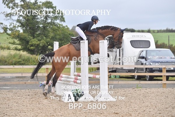 BPP_6806 - CLASS 1 Club/ Unaffiliated 80cms Open