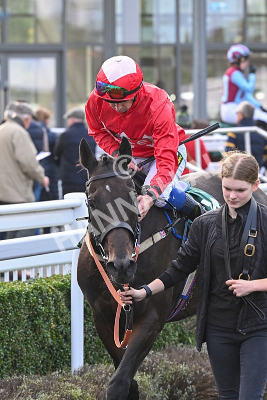 021024-Race 6-Redrosezorro-9677 - Race 6