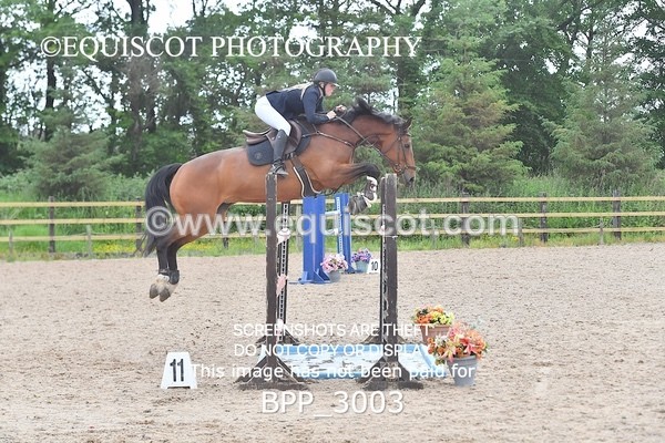 BPP_3003 - SUN CLASS 21 National 1.30m Open