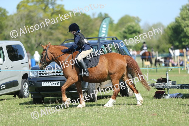 20250427-1918 - Class 2 - Mini Jumping 30cm