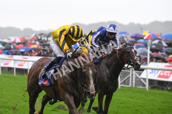 yr21082021r4-71 - Race 4 3.35pm Sky Bet Ebor