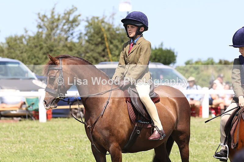 JPP_2314 - Class 20: Tiny Tots Working Hunter Pony