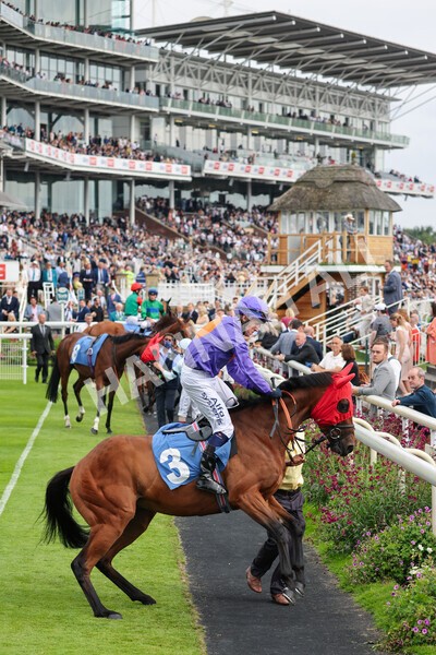 yr24072021r7-12 - Race 7 5.35pm The Sporting Life Fast Results Stakes