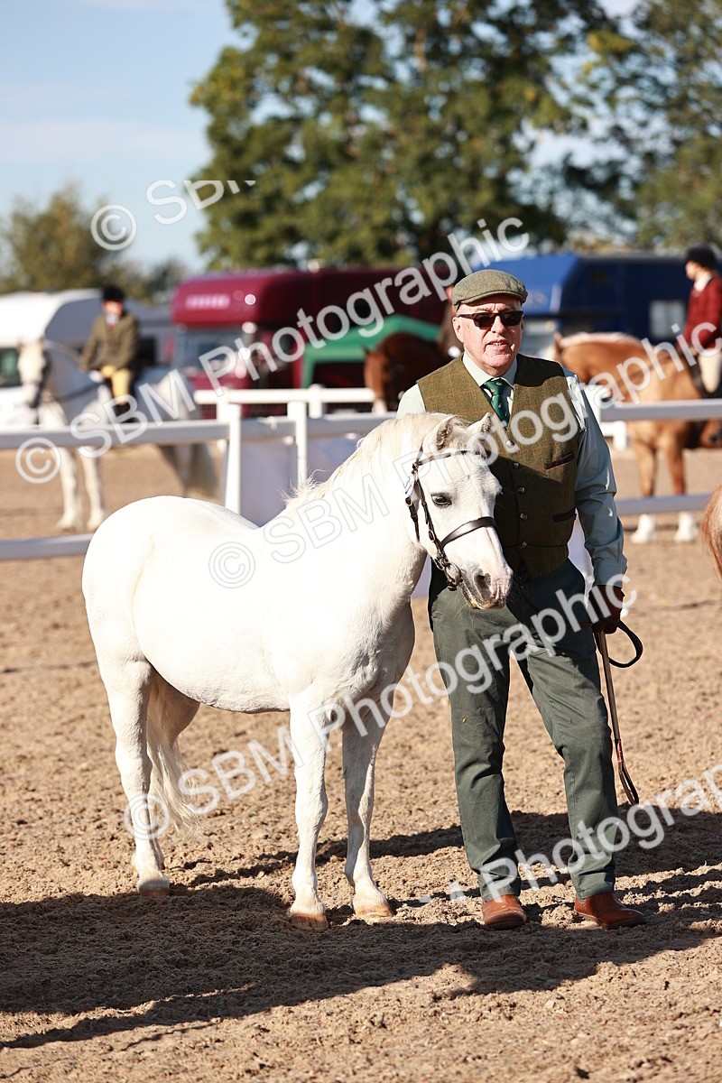 SBM_11441 - Class 402 - IH  Veteran pony