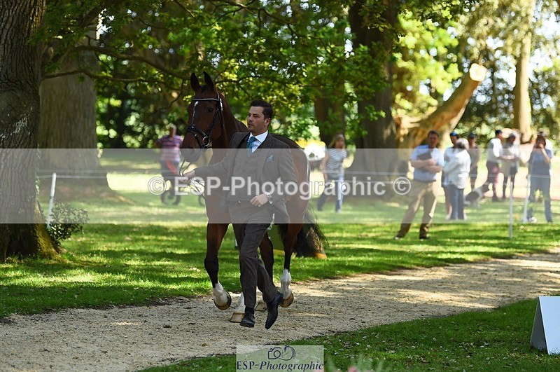 230524-154522-00475 - 365-BWE_NEWTON_DE_JASPER-Adam_Harvey-WEDTrotUp+DR