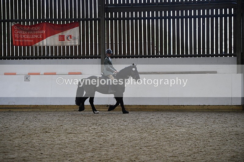 WJ5_7889 - Class 13 Ridden Part Breed