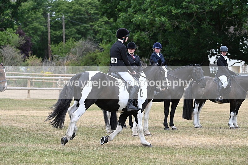 WJ7_1021 - Class 3 Family Mount