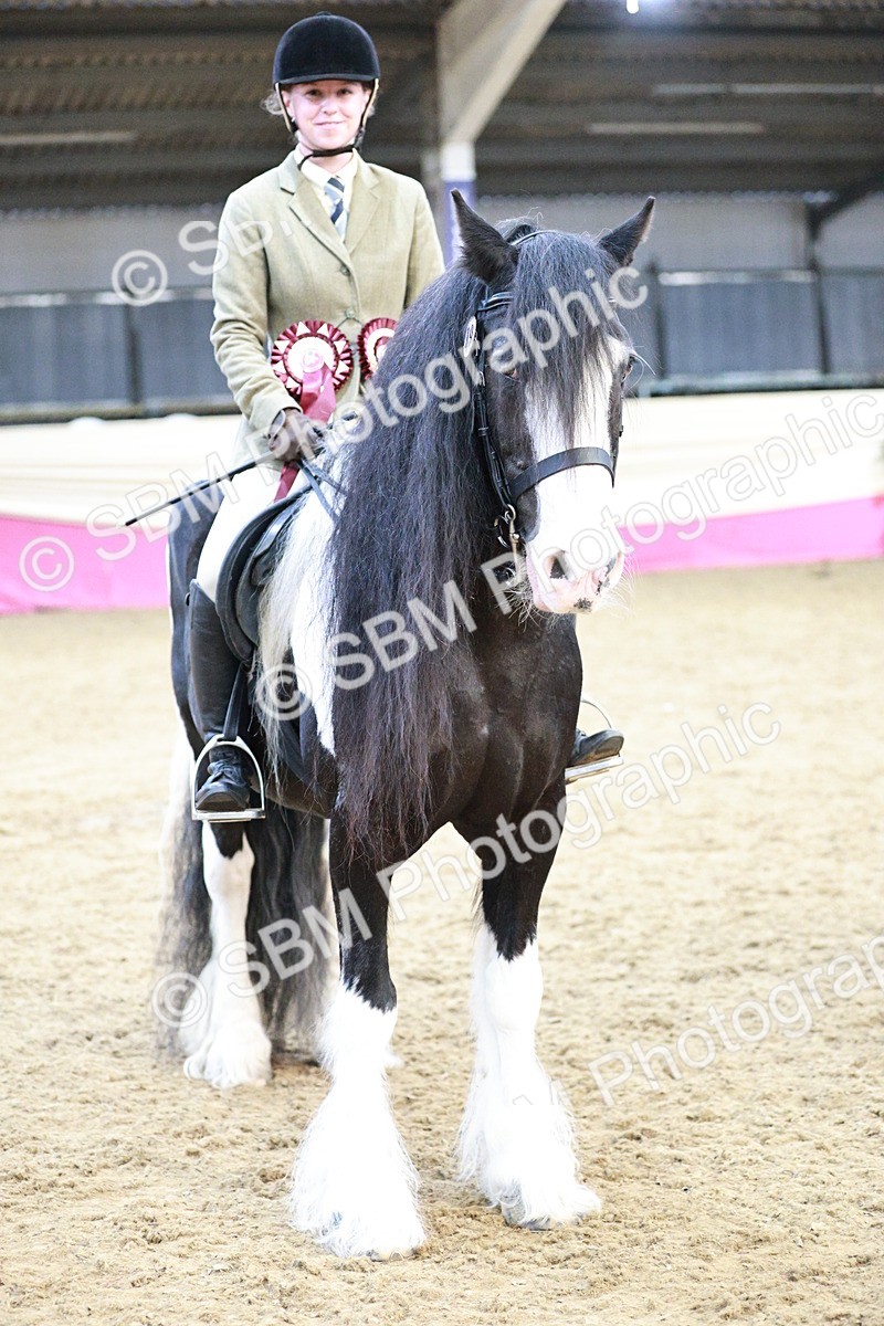 SBM_08705 - Regional Ridden Champ