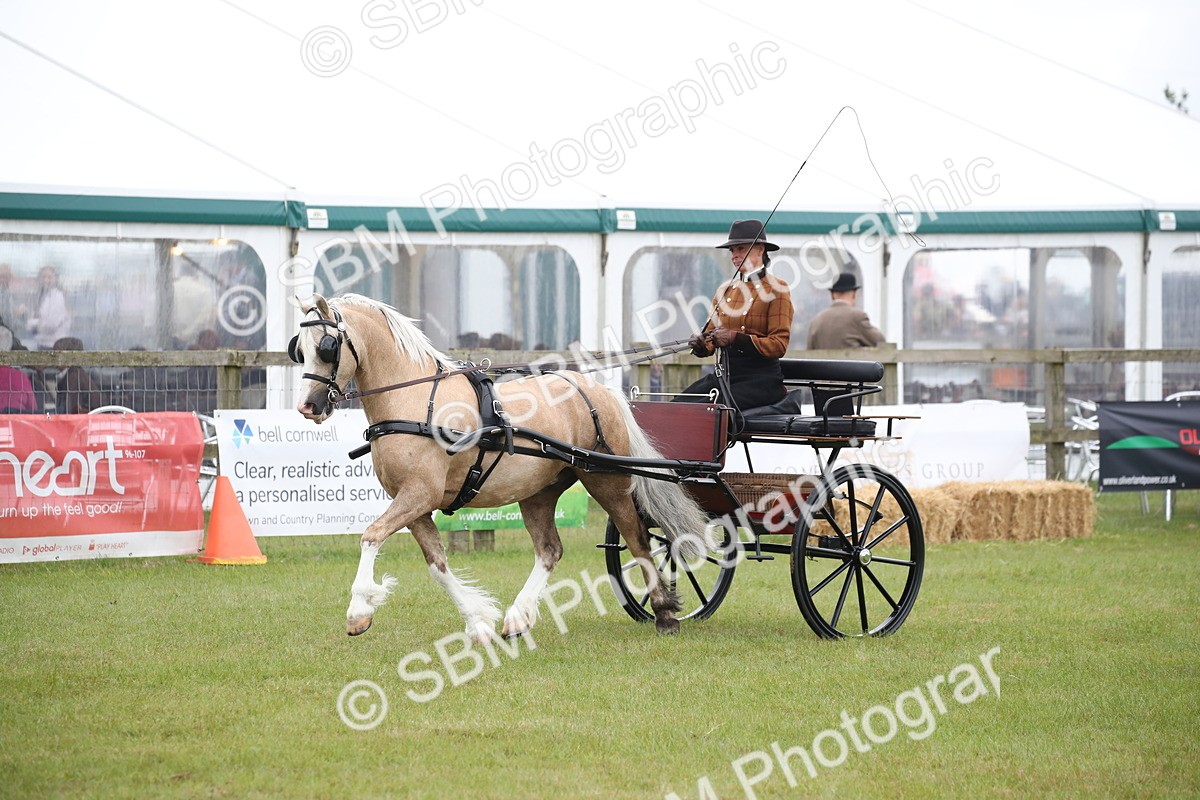 SBM_05650 - Class 12-15 - HOYS Private Driving