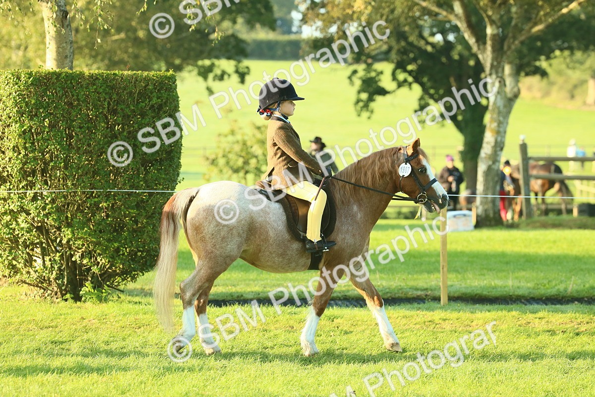 SBM_56776 - S36 - Starters Best Turnout