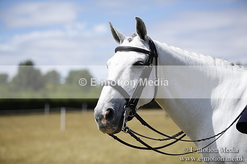 _C7A0260 - Side Saddle Classes BVRC Show 2018