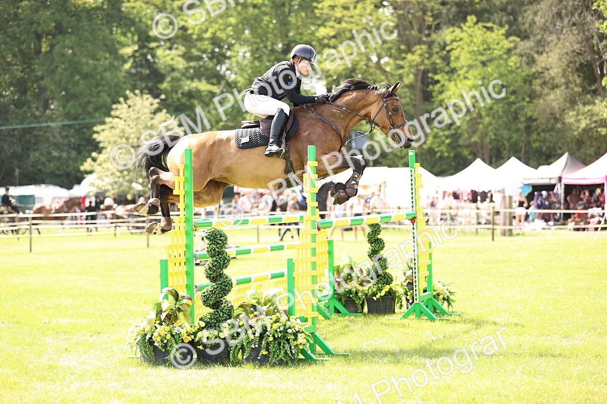 SBM_03089 - Class 201 - British Horse Feedds Speedi Beet HOYS Grade C