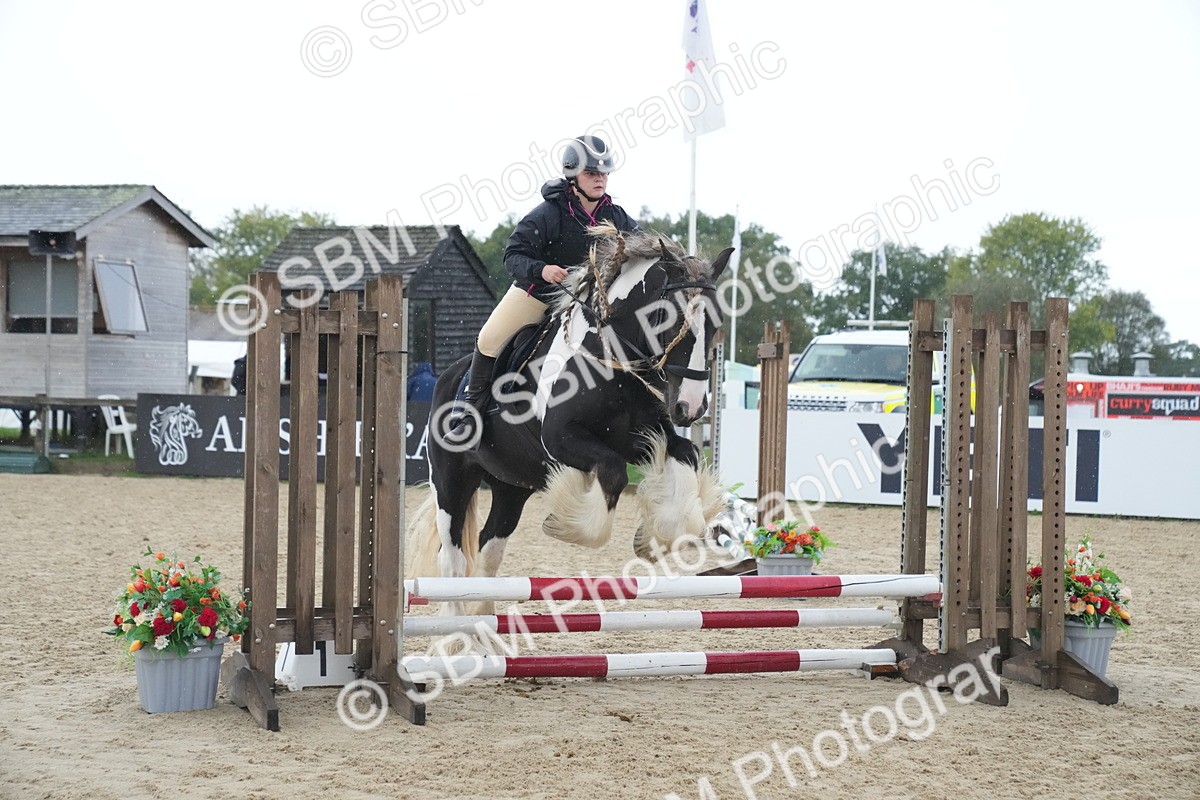 SBM_01573 - J54 - Clear Round 50cm