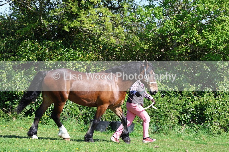 3E7A9445 - Class 16: Best Grass Kept